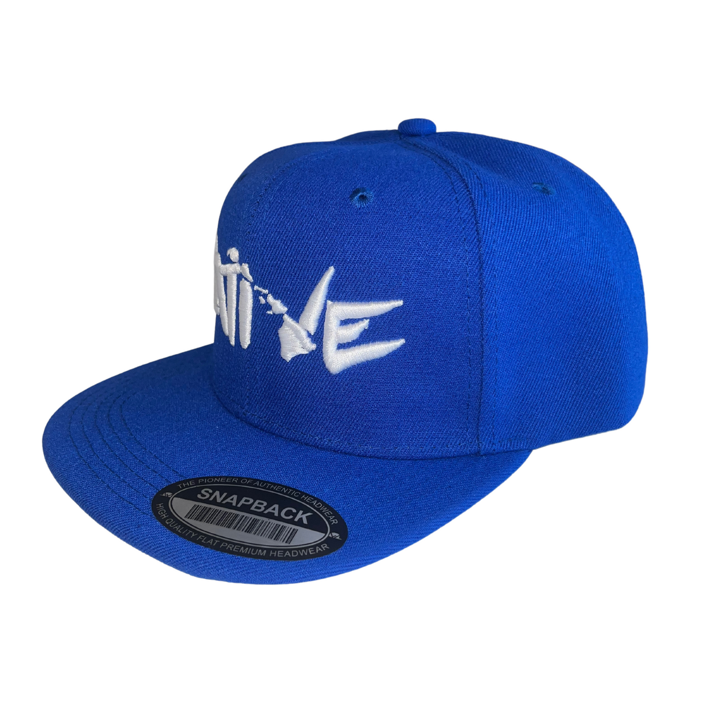 HILV9 Native Royal Blue Snapback Hat